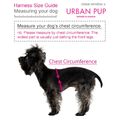 Floral Burst Dog Harness - Urban Pup - 4