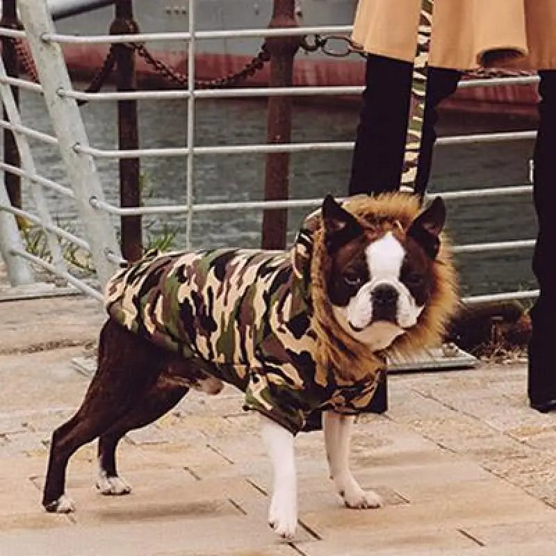 Forest Camouflage Fish Tail Parka Dog Coat - Urban Pup - 3