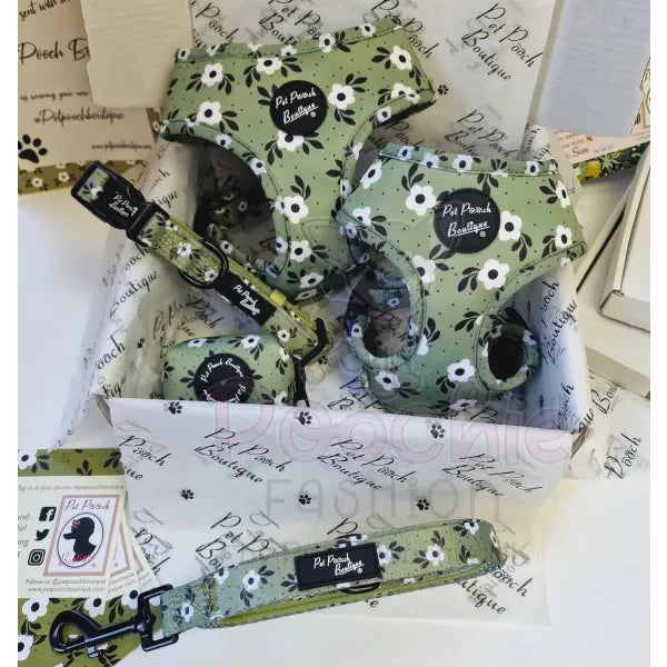 Floral dog online harness and lead
