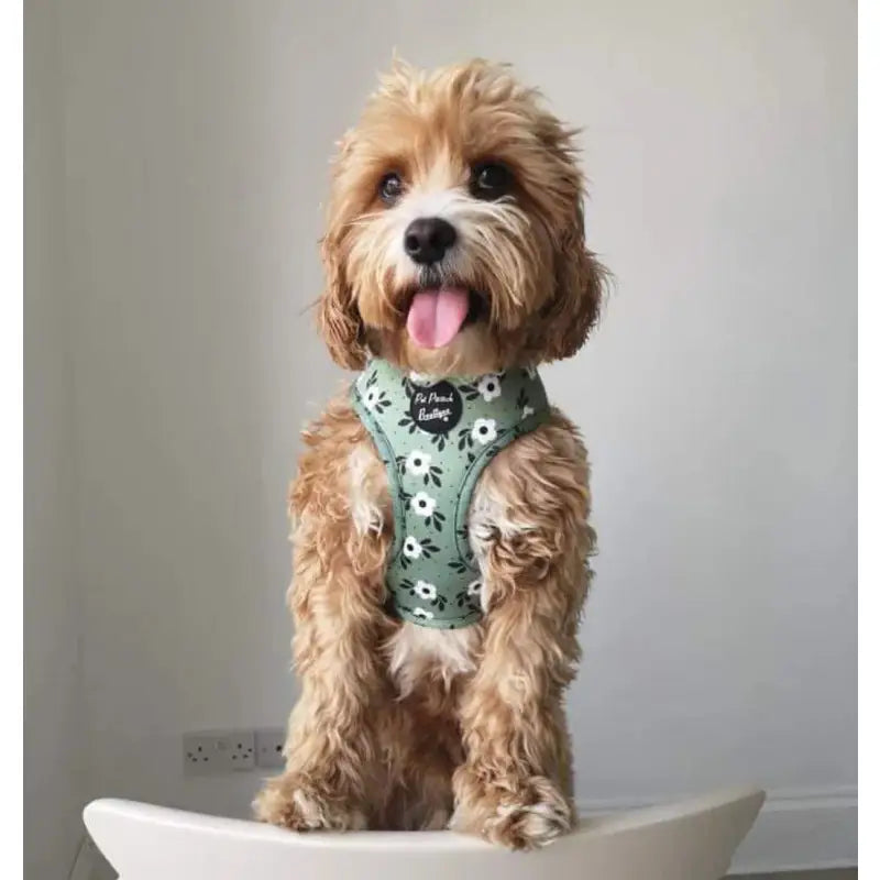 Green Meadow Floral Dog Harness - Pet Pooch - 3