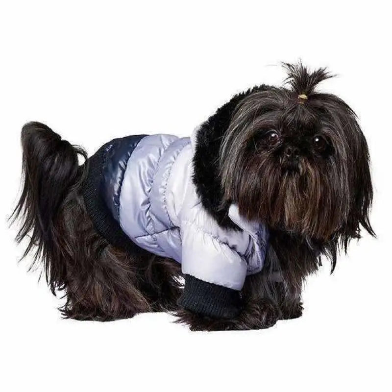 Urban Pup Grey And Black Thermo Dog Parka Coat Small - Sale - 1