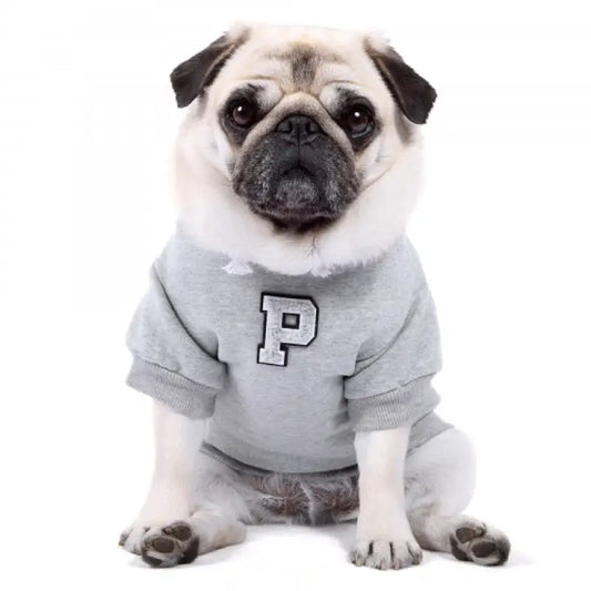 Grey Personalised Embroidered Letter Hoodie - Rich Paw - 1