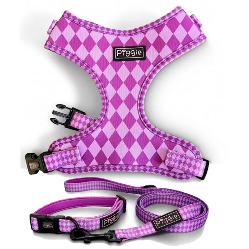 Harlequin Dog Collar and Lead Purple - Piggie - 5