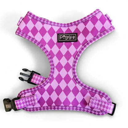 Harlequin Dog Harness Bundle In Purple - Piggie - 2