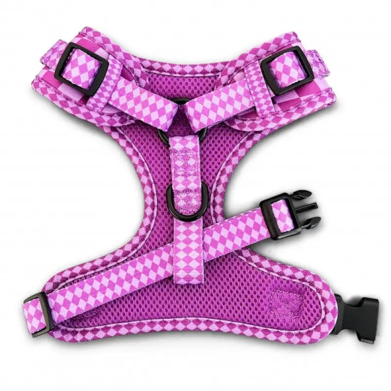 Harlequin Dog Harness Bundle In Purple - Piggie - 3