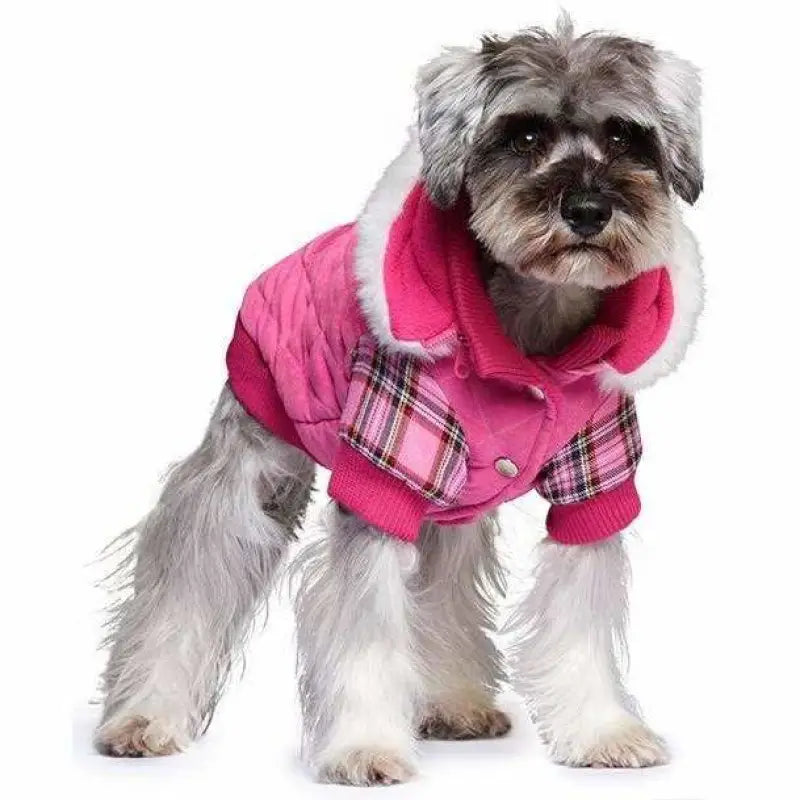 Highland Lady Quilted Tartan Designer Dog Coat - Urban Pup - 6