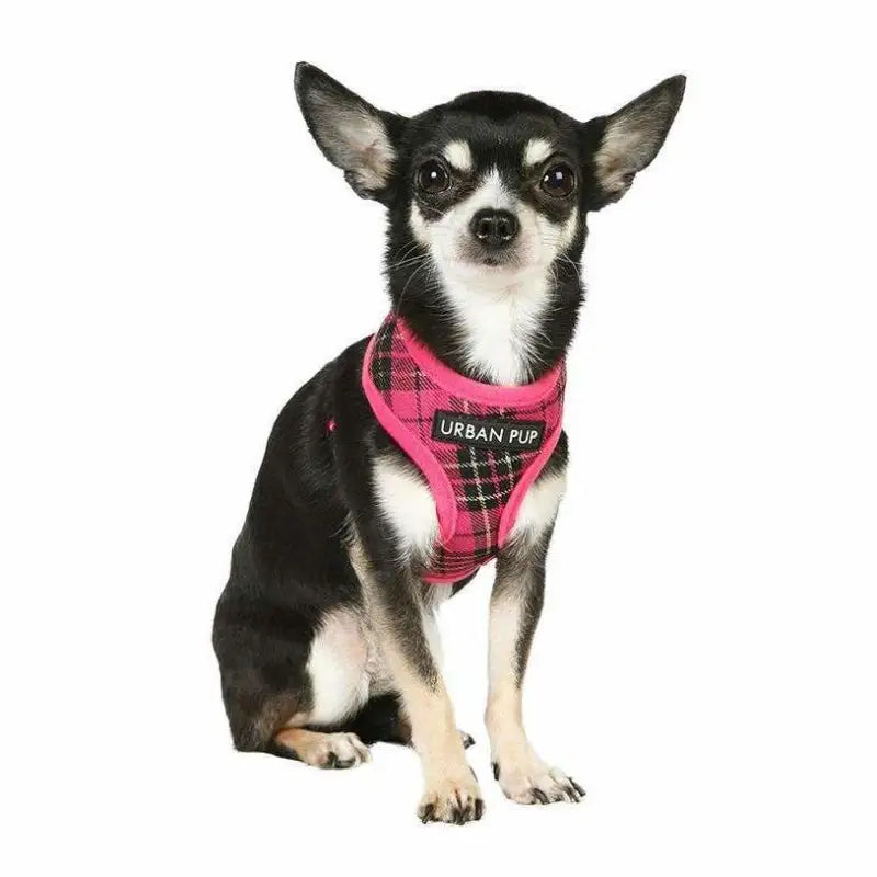 Hot Pink Tartan Dog Harness - Urban Pup - 2