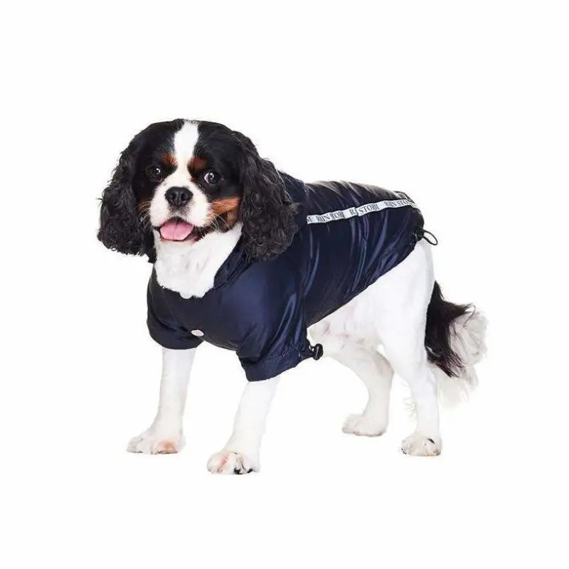 Ink Blue Fleece Lined Rainstorm Dog Raincoat - Urban Pup - 3