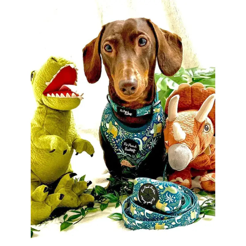 Jurassic Forest Dog Collar - Pet Pooch - 2