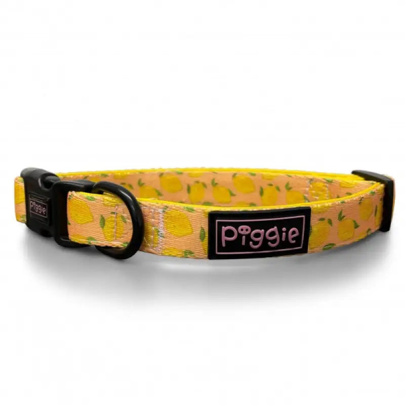 Lemon Squeeze Dog Harness Super Bundle - Piggie - 4