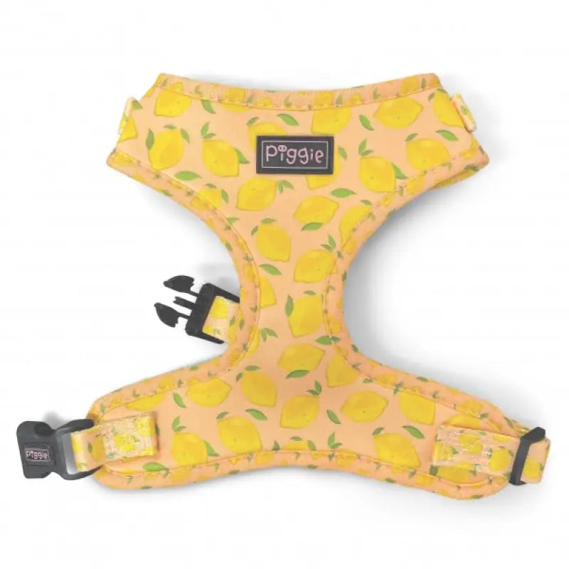 Lemon Squeeze Dog Harness Super Bundle - Piggie - 2