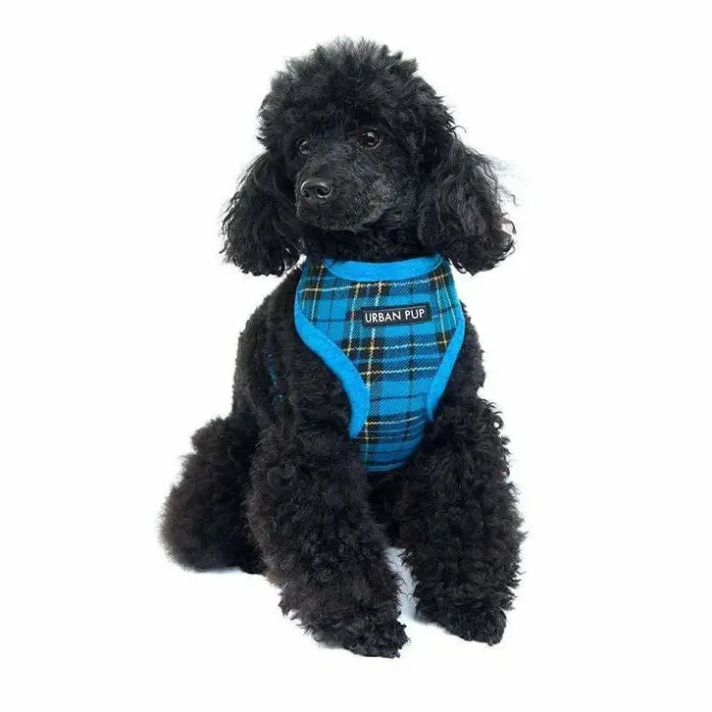 Luxury Fur Lined Blue Tartan Dog Harness - Urban Pup - 2