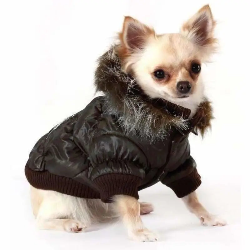 Luxury Quilted Designer Dog Coat With Detachable Hood In Dark Brown - Urban Pup - 2