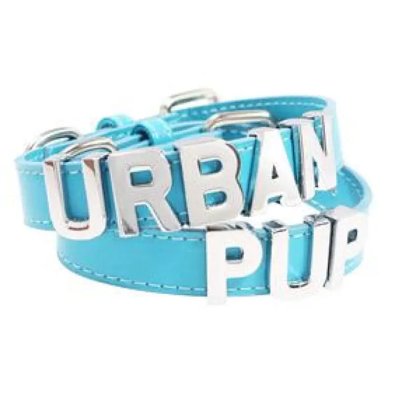Personalised Leather Chrome Dog Collar In Cyan Blue - Urban - 1