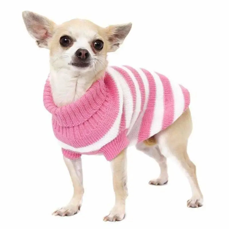 Pink and White Candy Stripe Dog Jumper - Urban Pup - 2