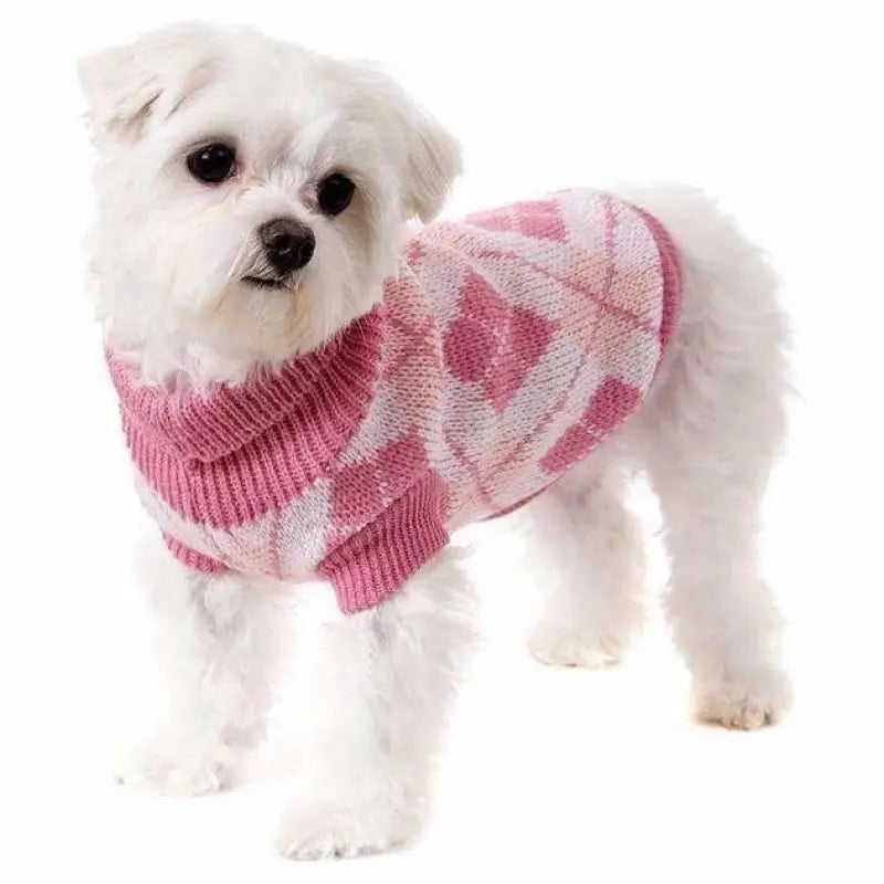 Pink Argyle Dog Jumper - Urban Pup - 2