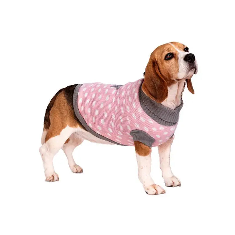 Pink Polka Dot Star Dog Jumper - Urban Pup - 2