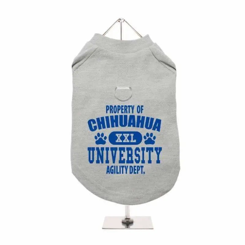 Property Of Chihuahua University Harness Lined Dog T-Shirt Grey - Urban - 2