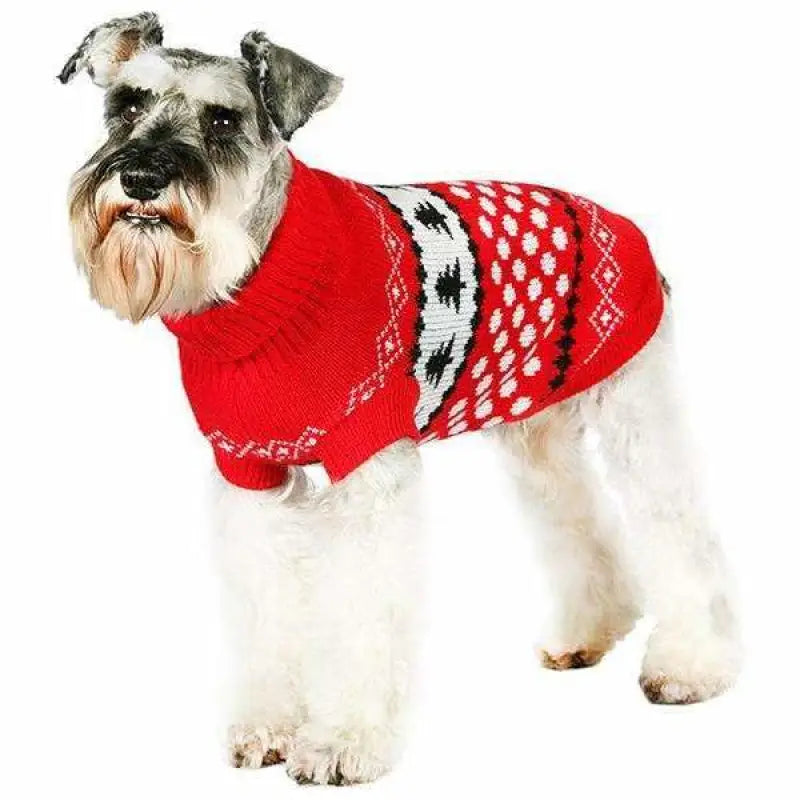 Red and White Snowball Dog Jumper - Urban Pup - 2
