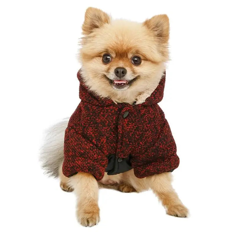 Red Cheviot Tweed Trimmed Designer Dog Coat - Urban - 2