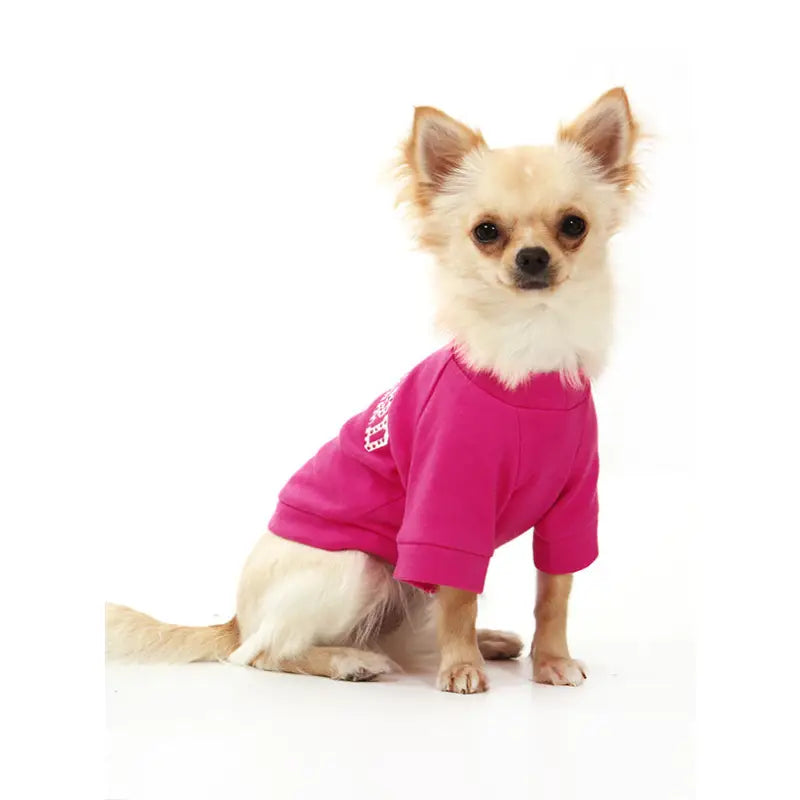 Respect The Chihuahua Dog T - shirt - Urban 3