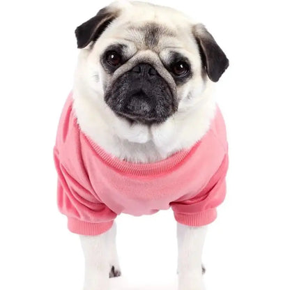 Rose Pink Velour Dog Sweatshirt - Rich Paw - 2
