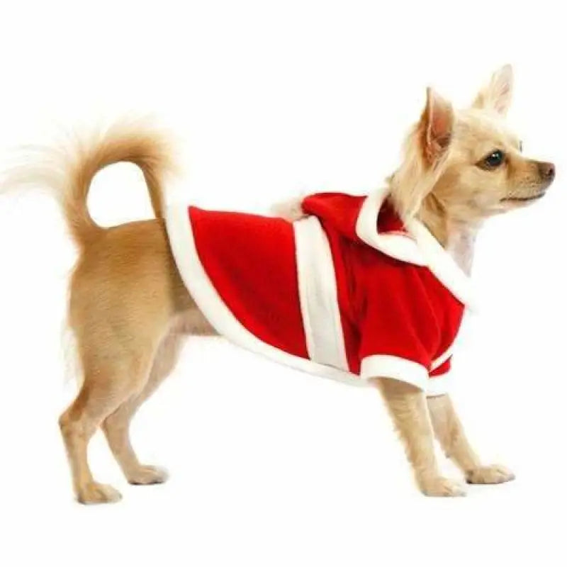 Santa’s Christmas Dog Coat - Urban - 2