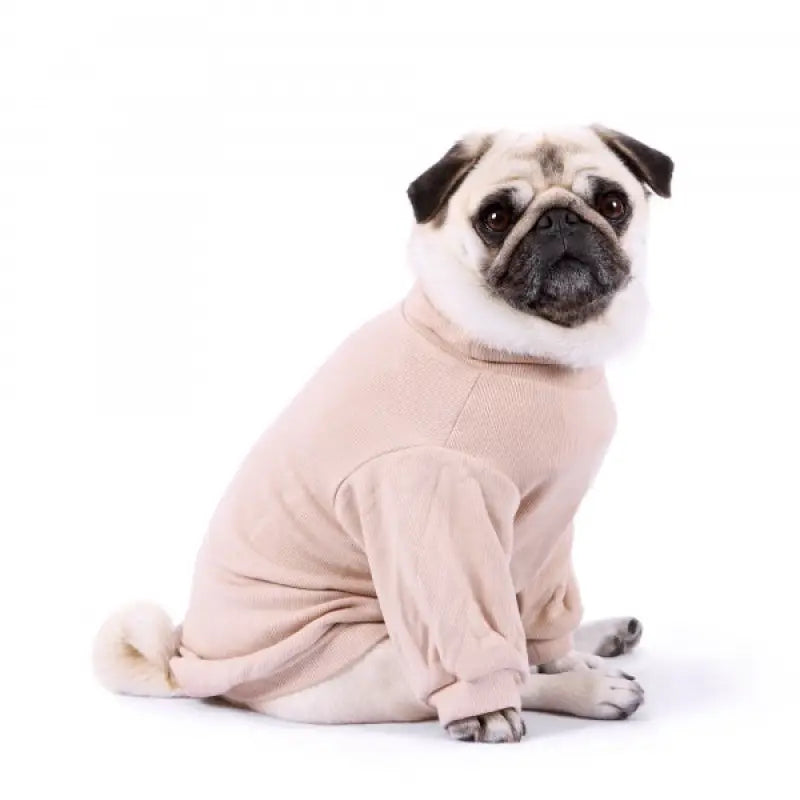 Snuggly Long Sleeve Dog T-Shirt Beige - Rich Paw - 1