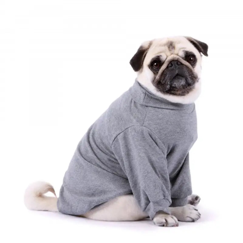 Snuggly Long Sleeve Dog T-Shirt Grey - Rich Paw - 1