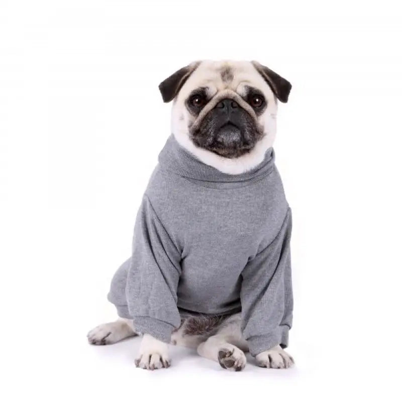 Snuggly Long Sleeve Dog T-Shirt Grey - Rich Paw - 2