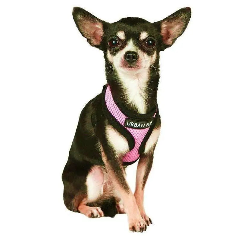 Soft Mesh Dog Harness In Candy Pink - Urban Pup - 2