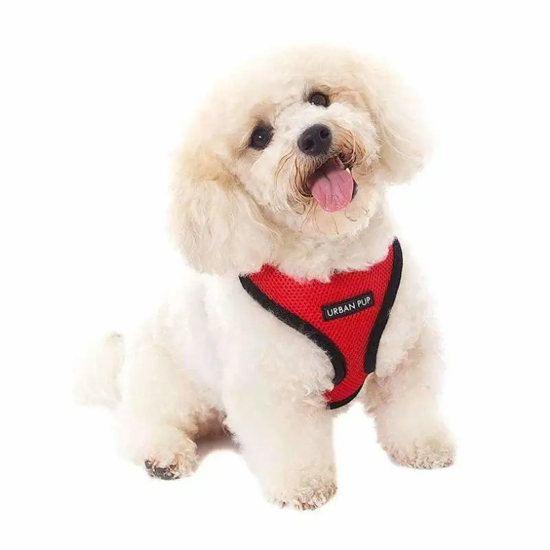 Soft Mesh Dog Harness In Cherry Red - Urban Pup - 2