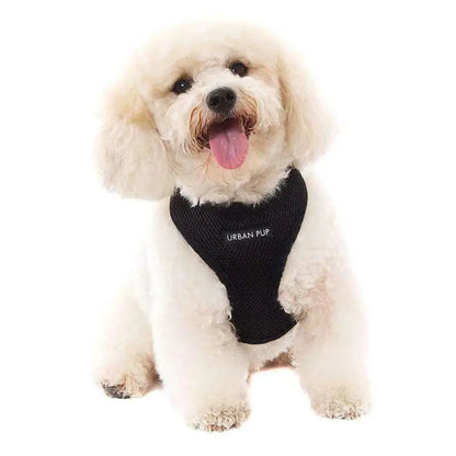 Soft Mesh Dog Harness In Jet Black - Urban Pup - 2