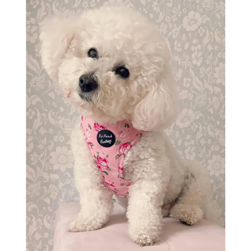 Sunday Rose Floral Puppy Dog Harness - Pet Pooch - 2
