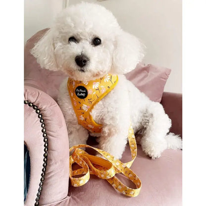 Sunshine And Daisies Dog Harness - Pet Pooch - 2