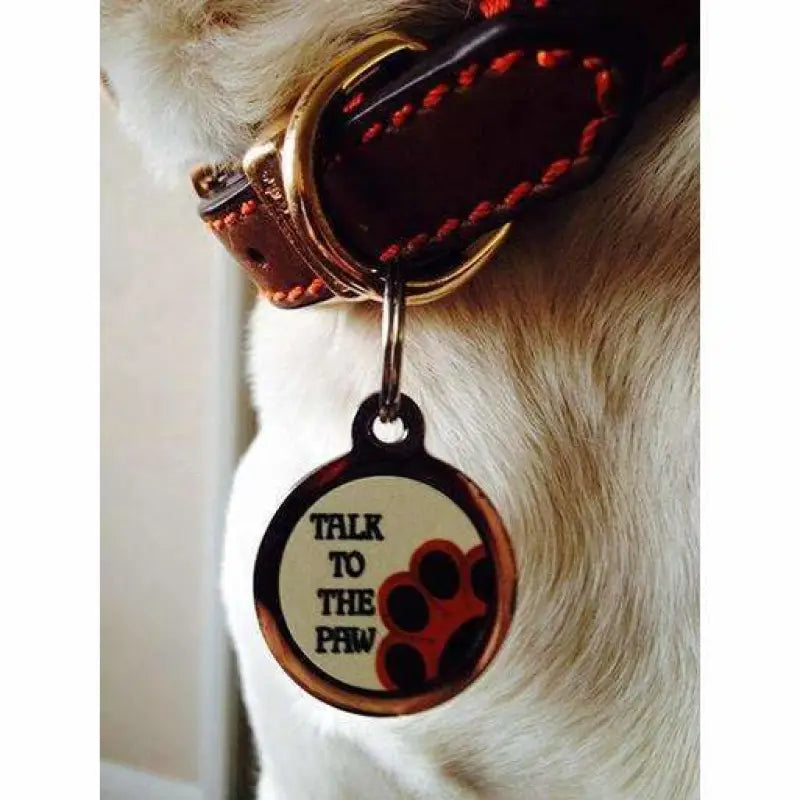 Talk To The Paw Dog ID Tag - PS Pet Tags - 2