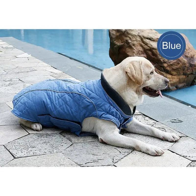Weatherproof Quilted Bodywarmer Dog Coat In Blue - Posh Pawz - 4