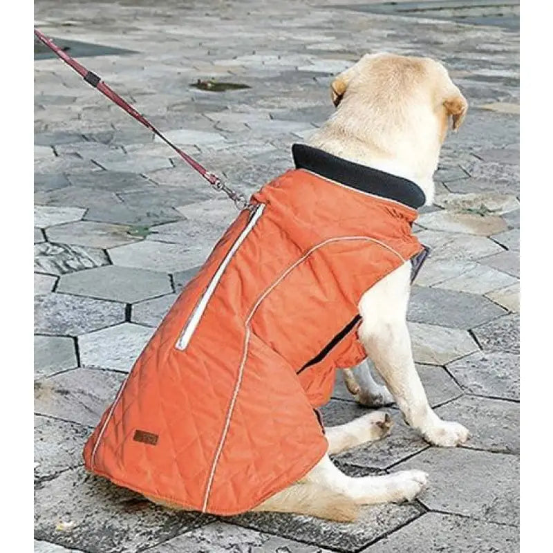 Weatherproof Quilted Bodywarmer Dog Coat In Orange - Posh Pawz - 4