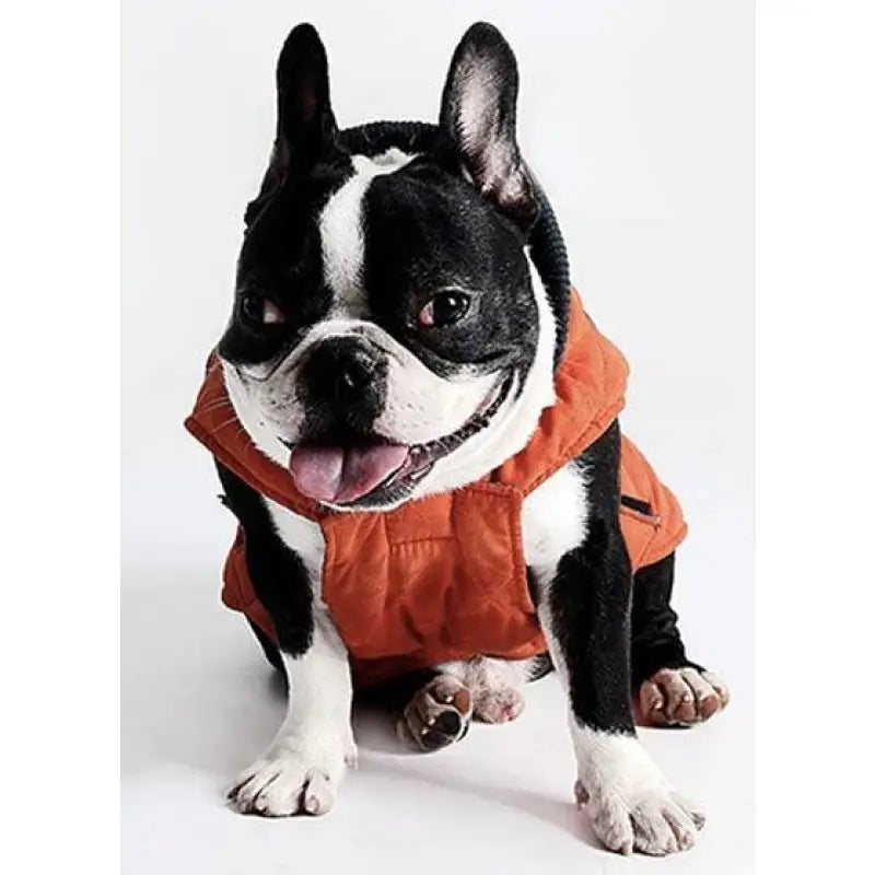 Weatherproof Quilted Bodywarmer Dog Coat In Orange - Posh Pawz - 3