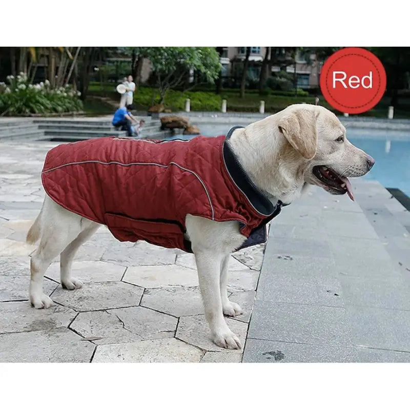 Weatherproof Quilted Bodywarmer Dog Coat In Red - Posh Pawz - 4